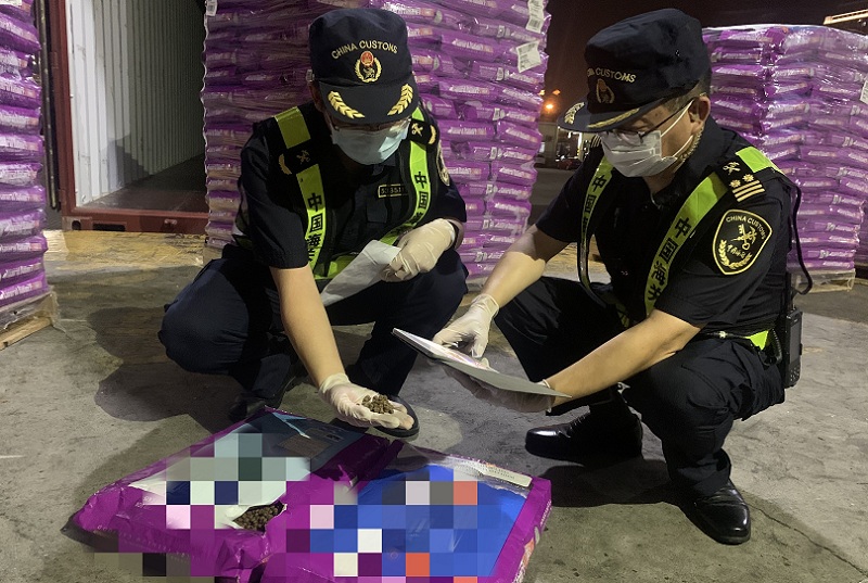 皇崗海關查獲無有效檢疫證書進口貓糧19噸(圖) 皇崗海關查獲無有效檢疫證書進口貓糧19噸(圖)